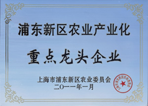 浦東新區(qū)農(nóng)業(yè)產(chǎn)業(yè)化重點(diǎn)龍頭企業(yè)